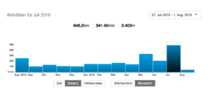 Strava_Monatsstatistik